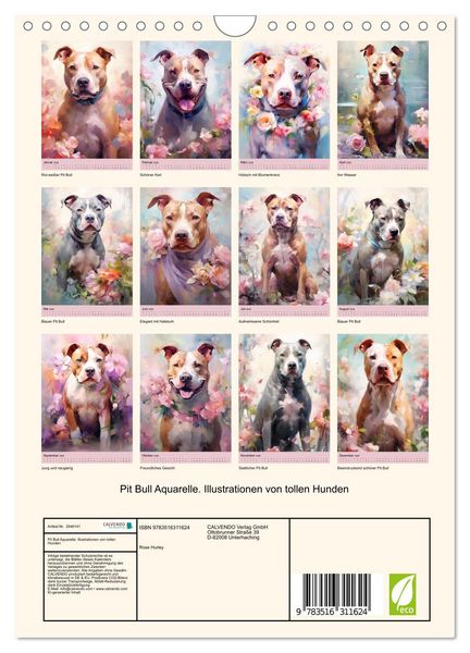 Produktbild: Pit Bull Aquarelle. Illustrationen von tollen Hunden (Wandkalender 2026 DIN A4 hoch), CALVENDO Monatskalender