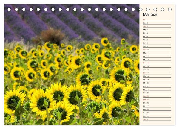 Produktbild: Lavendel (Tischkalender 2026 DIN A5 quer), CALVENDO Monatskalender