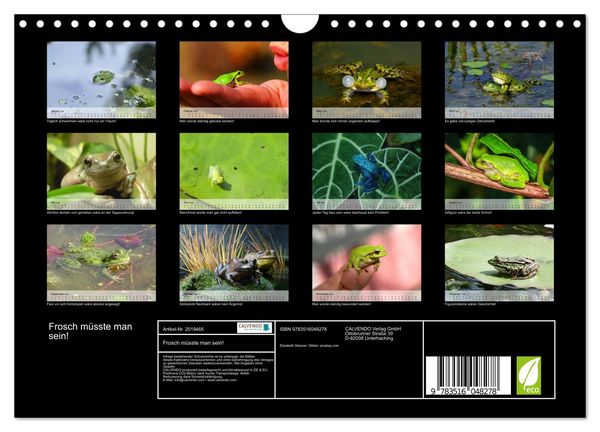 Produktbild: Frosch m&uuml;sste man sein! (Wandkalender 2026 DIN A4 quer), CALVENDO Monatskalender