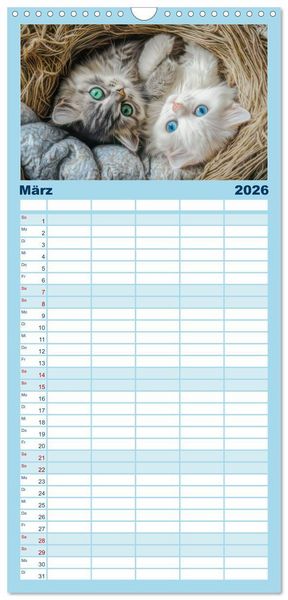 Produktbild: Familienplaner 2026 - Katzen Illustrationen - Faszination pur mit 5 Spalten (Wandkalender, 21 x 45 cm) CALVENDO
