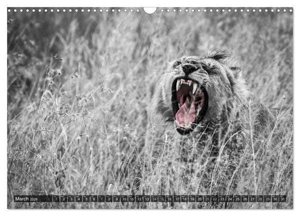 Produktbild: tanzania fine art (Wall Calendar 2026 DIN A3 landscape), CALVENDO 12 Month Wall Calendar