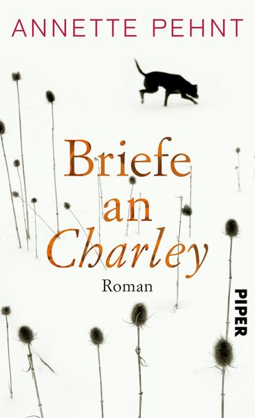 Produktbild: Briefe an Charley