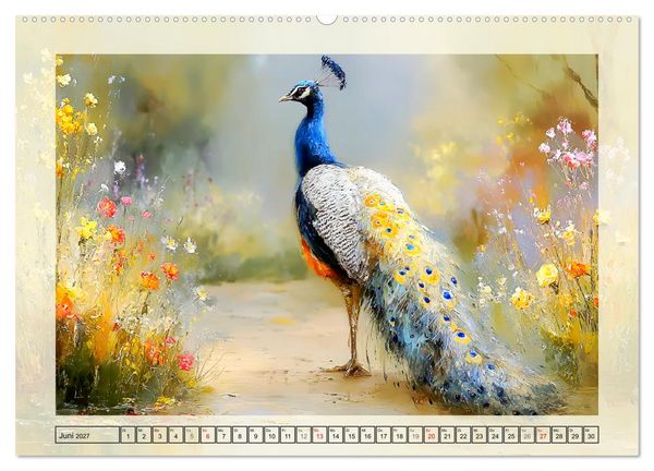 Produktbild: Pfaue. Elegante Zierv&ouml;gel im englischen Garten (Wandkalender 2027 DIN A2 quer), CALVENDO Monatskalender