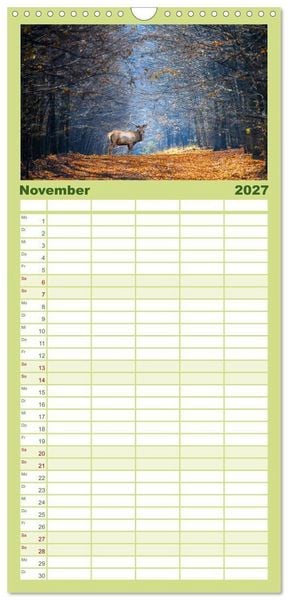 Produktbild: Familienplaner 2027 - Die Tiere des Waldes mit 5 Spalten (Wandkalender, 21 x 45 cm) CALVENDO