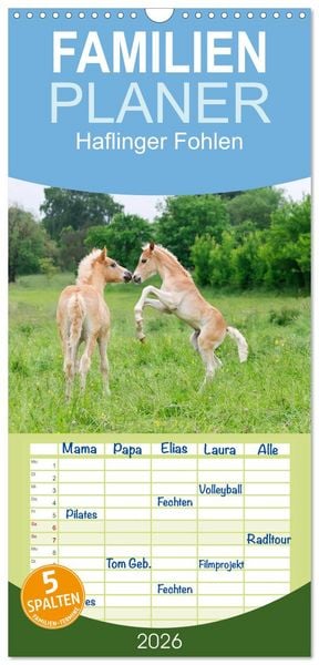 Produktbild: Familienplaner 2026 - Haflinger Fohlen mit 5 Spalten (Wandkalender, 21 x 45 cm) CALVENDO