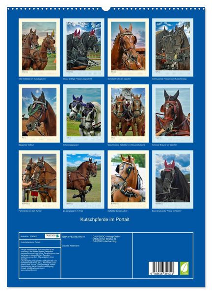 Produktbild: Kutschpferde im Portait (hochwertiger Premium Wandkalender 2026 DIN A2 hoch), Kunstdruck in Hochglanz