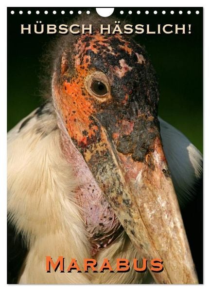 Hübsch hässlich! Marabus (Wandkalender 2026 DIN A4 hoch), CALVENDO Monatskalender