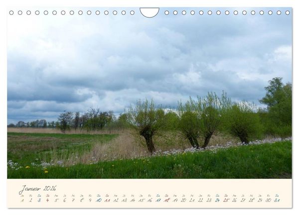 Produktbild: Bremer Blockland - Landleben in der Gro&szlig;stadt (Wandkalender 2026 DIN A4 quer), CALVENDO Monatskalender