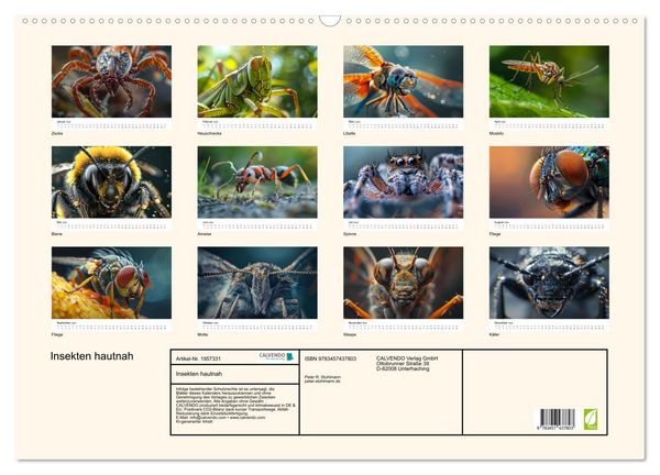 Produktbild: Insekten hautnah (Wandkalender 2026 DIN A2 quer), CALVENDO Monatskalender
