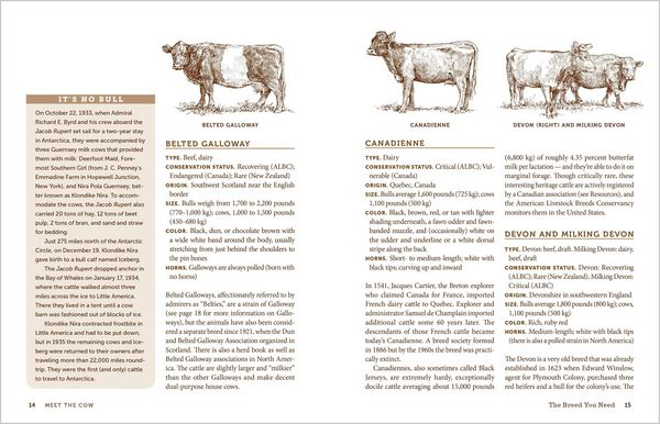 Produktbild: The Backyard Cow