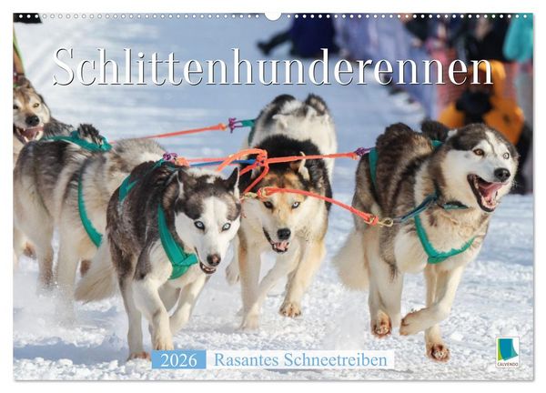 Produktbild: Schlittenhunderennen: Rasantes Schneetreiben (Wandkalender 2026 DIN A2 quer), CALVENDO Monatskalender