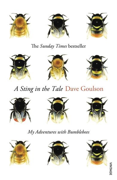 Produktbild: A Sting in the Tale
