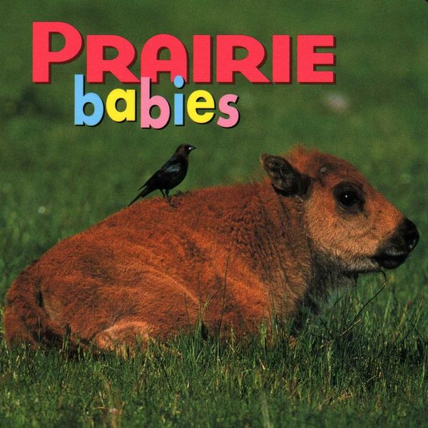Produktbild: Prairie Babies
