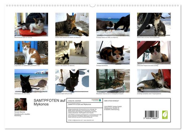 Produktbild: SAMTPFOTEN auf Mykonos (hochwertiger Premium Wandkalender 2026 DIN A2 quer), Kunstdruck in Hochglanz
