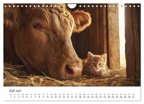 Produktbild: Wenn Tiere Freunde werden (Wandkalender 2027 DIN A4 quer), CALVENDO Monatskalender
