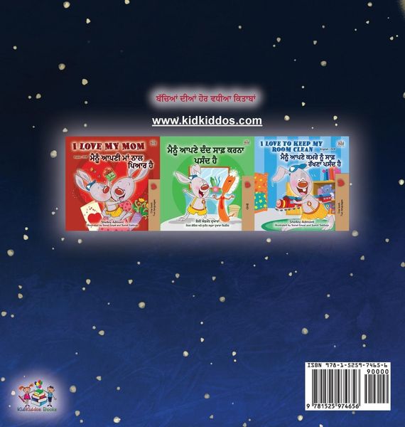 Produktbild: A Wonderful Day (Punjabi Gurmukhi Book for Children)