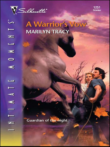 Produktbild: A Warrior's Vow