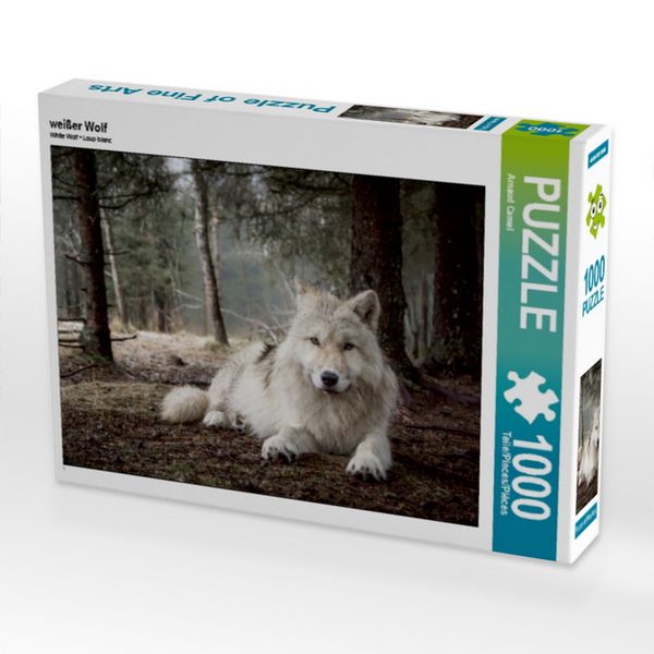 CALVENDO Puzzle weißer Wolf | 1000 Teile Lege-Größe 64 × 48 cm Foto-Puzzle für glückliche Stunden