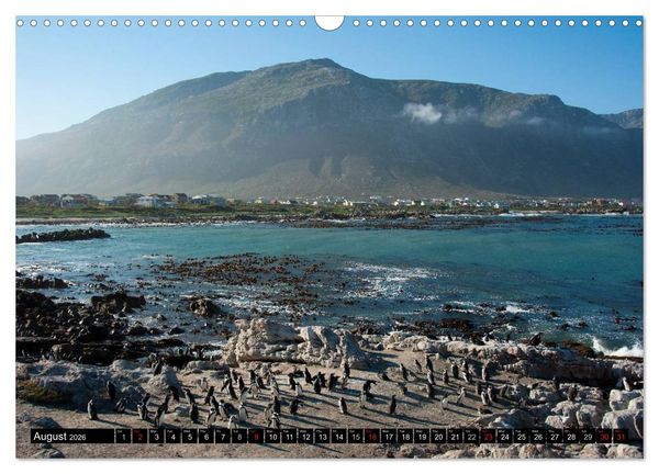 Produktbild: South Africa / UK-Version (Wall Calendar 2026 DIN A3 landscape), CALVENDO 12 Month Wall Calendar
