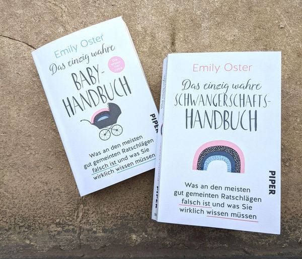 Produktbild: Das einzig wahre Schwangerschafts-Handbuch