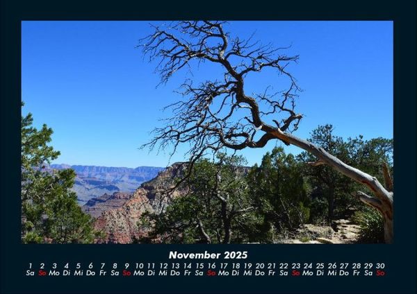 Produktbild: B&auml;ume 2025 Fotokalender DIN A4