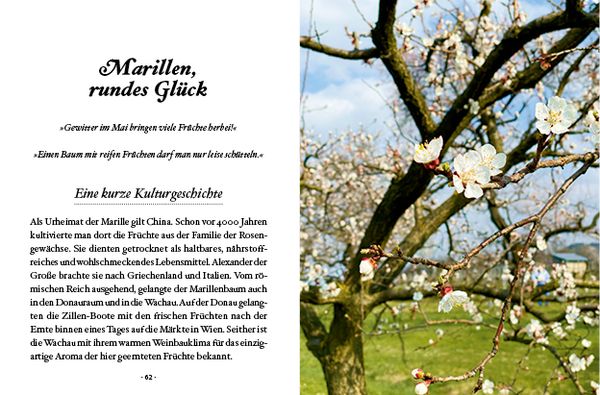 Produktbild: Das große kleine Buch: Obstbäume in unserem Garten
