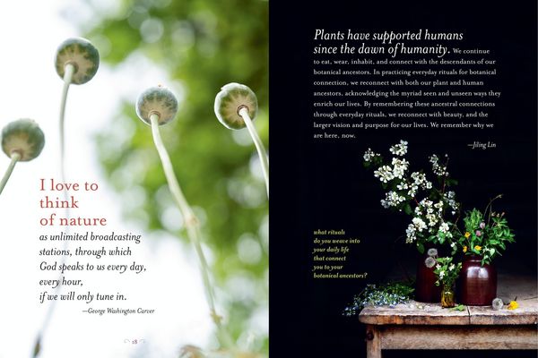 Produktbild: The Generosity of Plants