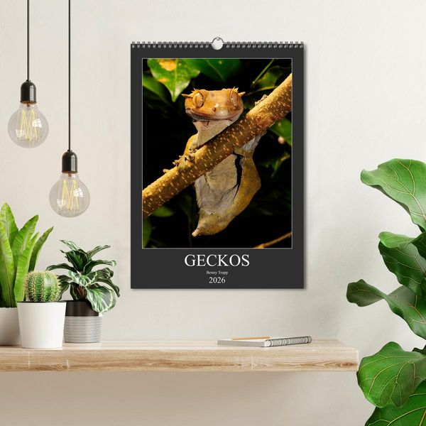 Produktbild: GECKOS (Wandkalender 2026 DIN A3 hoch), CALVENDO Monatskalender