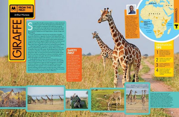 Produktbild: Animal Encyclopedia