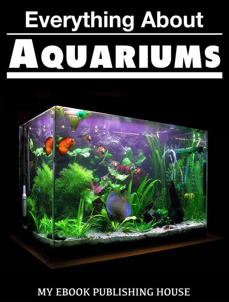 Produktbild: Everything About Aquariums