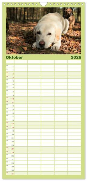 Produktbild: Familienplaner 2026 - Labrador Retriever 2026 mit 5 Spalten (Wandkalender, 21 x 45 cm) CALVENDO