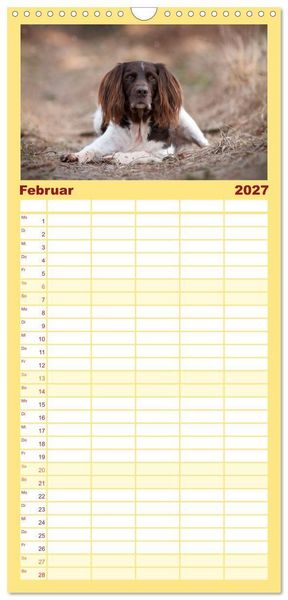 Produktbild: Familienplaner 2027 - Passion Jagdhund - Kleiner M&uuml;nsterl&auml;nder mit 5 Spalten (Wandkalender, 21 x 45 cm) CALVENDO