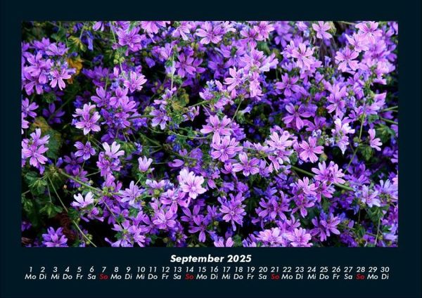 Produktbild: Blumenzauber 2025 Fotokalender DIN A4