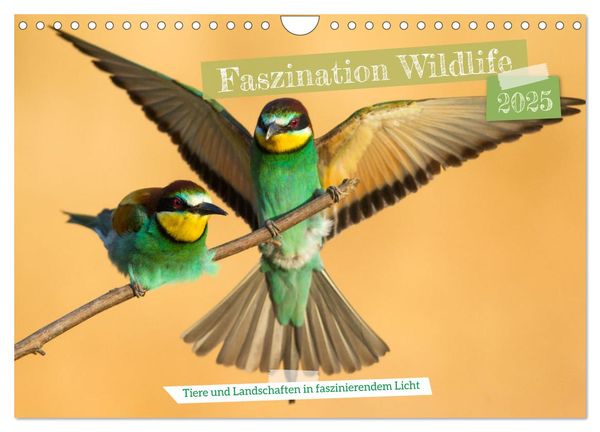 Faszination Wildlife (Wandkalender 2025 DIN A4 quer), CALVENDO Monatskalender