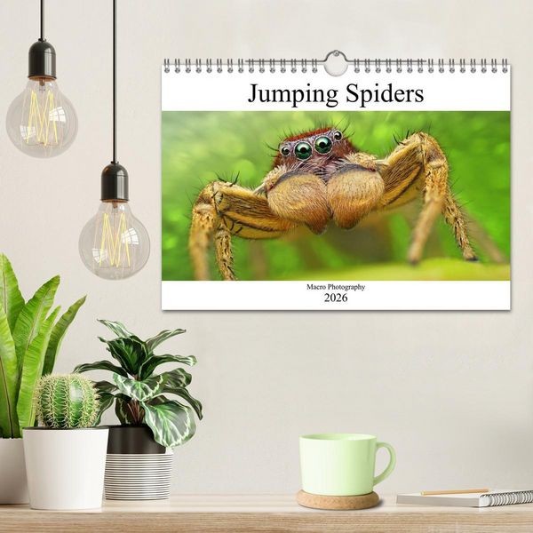 Produktbild: Jumping Spiders (Wall Calendar 2026 DIN A4 landscape), CALVENDO 12 Month Wall Calendar