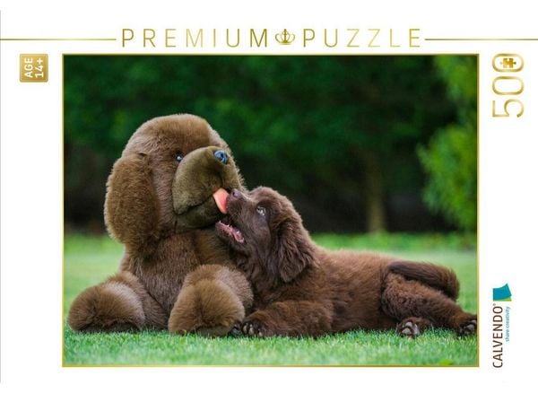 CALVENDO Puzzle Neufundländer | 500 Teile Lege-Größe 48 × 36 cm Foto-Puzzle für Erwachsene