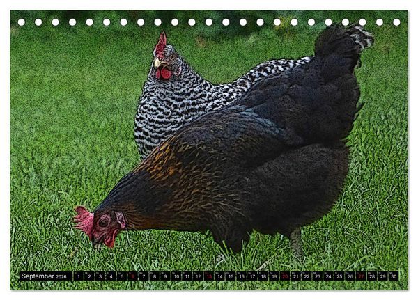 Produktbild: Die H&uuml;hner sind los! (Tischkalender 2026 DIN A5 quer), CALVENDO Monatskalender
