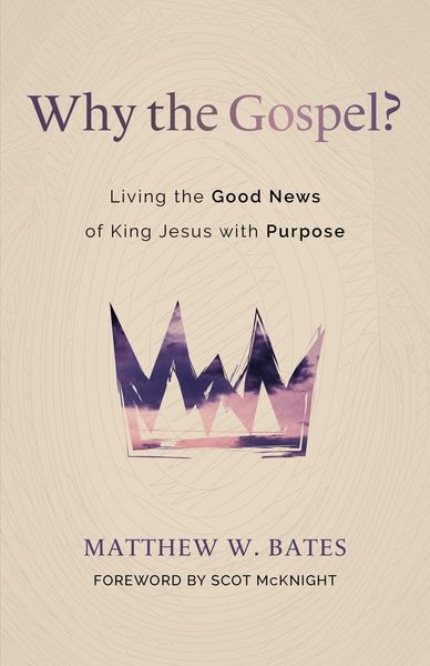 Produktbild: Why the Gospel?