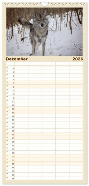 Produktbild: Familienplaner 2026 - Wolfshunde 2026 mit 5 Spalten (Wandkalender, 21 x 45 cm) CALVENDO