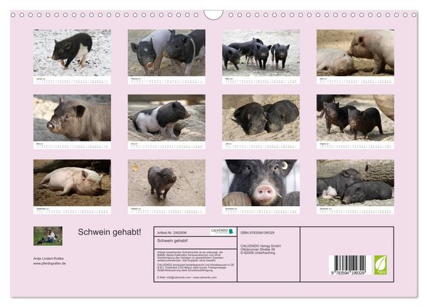 Produktbild: Schwein gehabt! (Wandkalender 2027 DIN A3 quer), CALVENDO Monatskalender