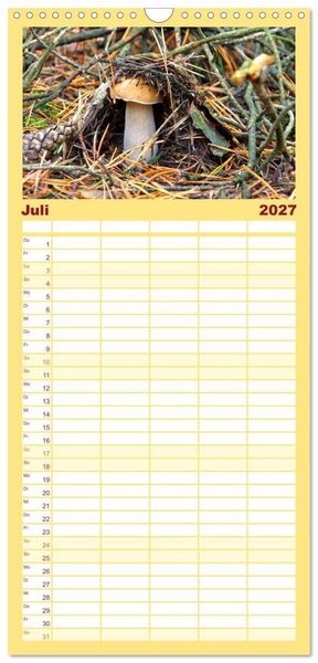 Produktbild: Familienplaner 2027 - Heimische Pilze mit 5 Spalten (Wandkalender, 21 x 45 cm) CALVENDO