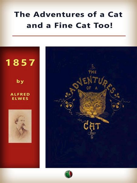 Produktbild: The Adventures of a Cat, and a Fine Cat Too!