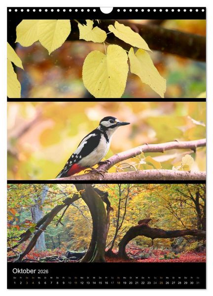 Produktbild: Bezaubernde Farben der Natur (Wandkalender 2026 DIN A3 hoch), CALVENDO Monatskalender