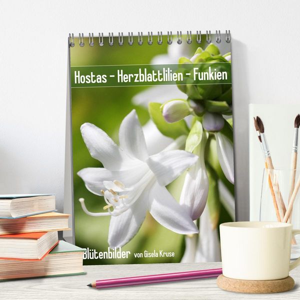 Produktbild: Hostas Herzblattlilien Funkien (Tischkalender 2026 DIN A5 hoch), CALVENDO Monatskalender