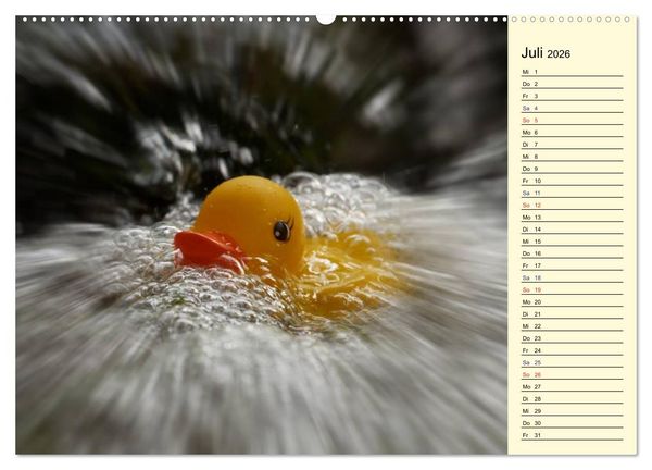 Produktbild: Enten-Rennen (Wandkalender 2026 DIN A2 quer), CALVENDO Monatskalender
