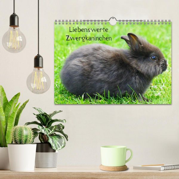 Produktbild: Liebenswerte Zwergkaninchen (Wandkalender 2026 DIN A4 quer), CALVENDO Monatskalender