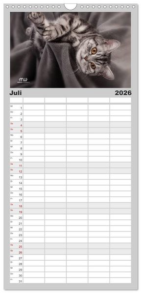 Produktbild: Familienplaner 2026 - Zauberhafte K&auml;tzchen mit 5 Spalten (Wandkalender, 21 x 45 cm) CALVENDO