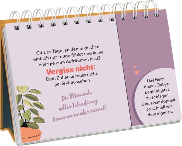 Produktbild: Hurra, bald bist du da
