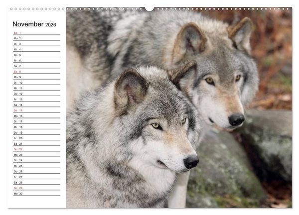Produktbild: Alaska und Kanada (Wandkalender 2026 DIN A2 quer), CALVENDO Monatskalender