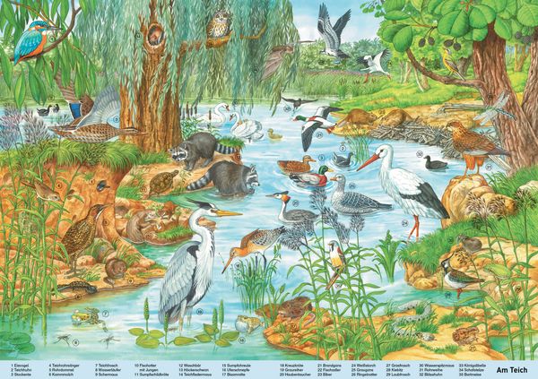 Produktbild: Mein gro&szlig;es Wimmelbuch Tiere